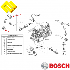 BOSCH F00C3G1303 Intake Manifold Pressure Sensor MAP -PARTSBOS BOSCH F00C3G1303 Intake Manifold Pressure Sensor MAP -PARTSBOS