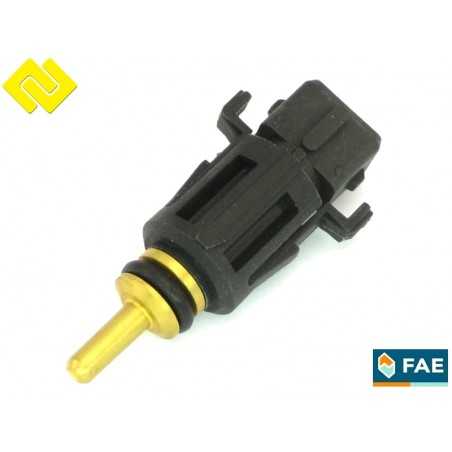 FAE 33167