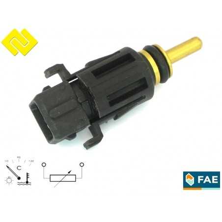 FAE 33167