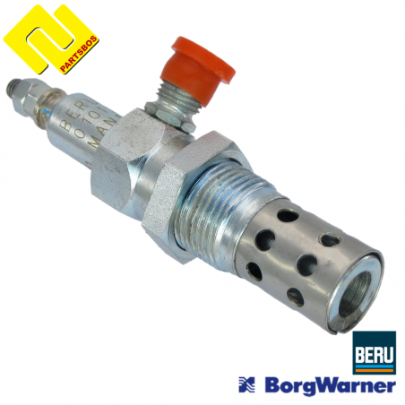 BorgWarner-BERU GF002 (51268030041 )