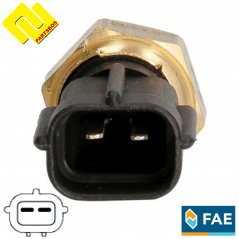 FAE 33181
