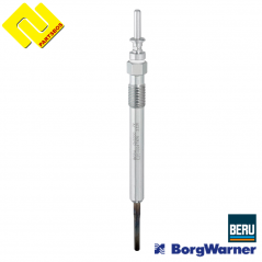 BorgWarner-BERU GN1000 