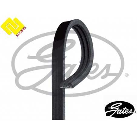 GATES 3PK842SF
