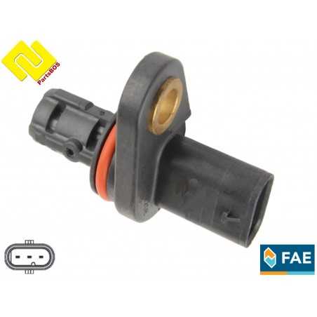 FAE 79393
