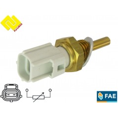 FAE 33255