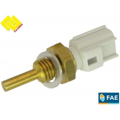 FAE 33255