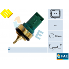 FAE 33707