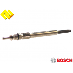 BOSCH 0250202042